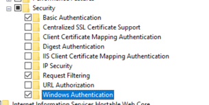 IIS Install Configuration for DNN